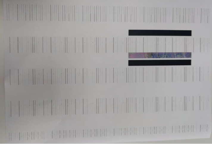 C458机器黑白正常，鸟图等彩色副本异常