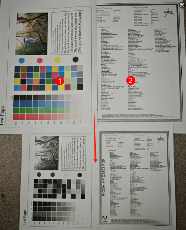 1767487807106042.png 复印2合1 (5).png