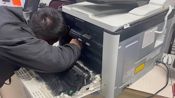 1773018236239167.jpg downloaded-image (1).jpg